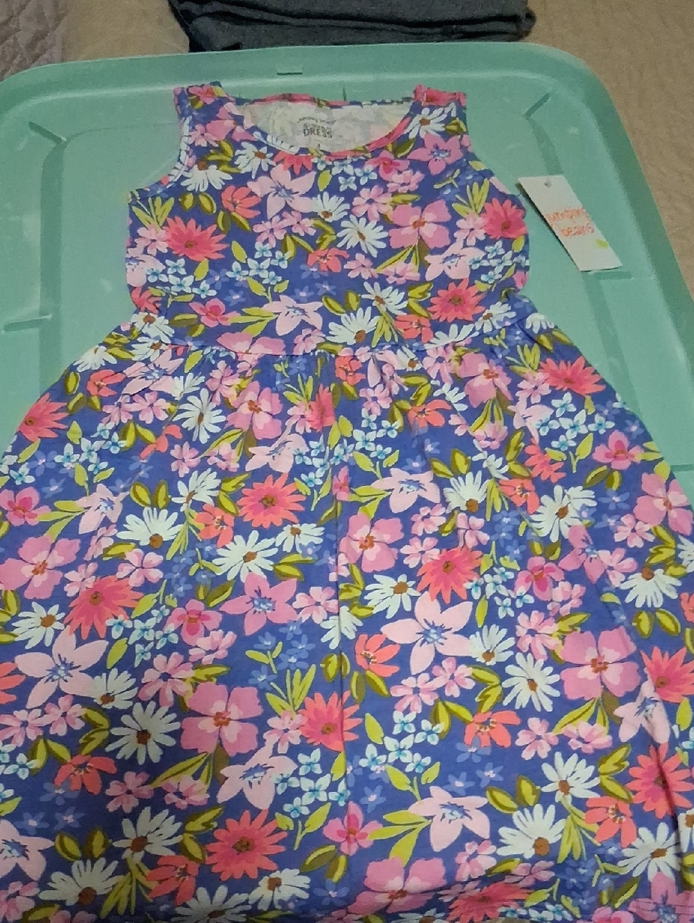 Little Girld Dress NWT